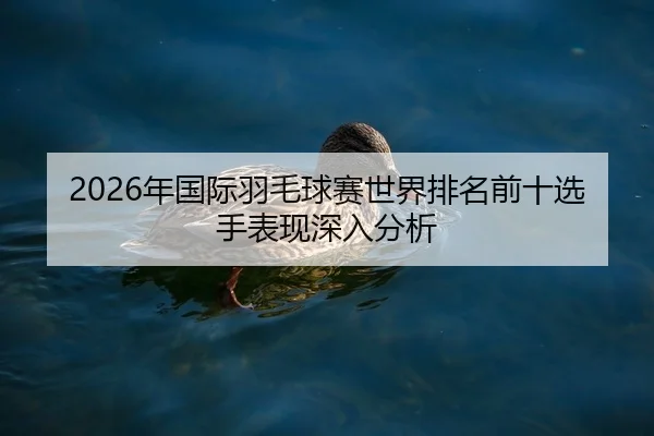 nian-guo-ji-yu-mao-qiu-sai-shi-jie-pai-ming-qian-shi-xuan-shou-biao-xian-shen-ru-fen-xi-2-579.jpg